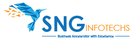 SNG Infotechs | Software Company | Indore