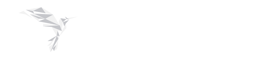 SNG Infotechs | Software Company | Indore